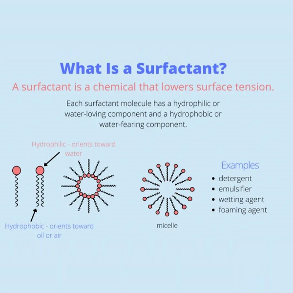 Types and Principles of Surfactants