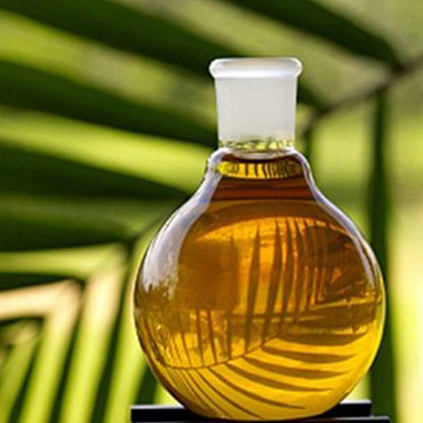 Discussion of Palm Oil’s Oleochemical Applications