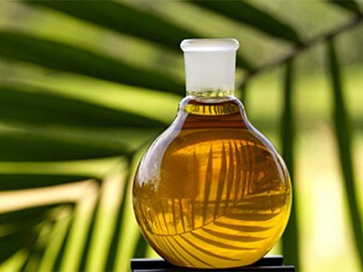 Discussion of Palm Oil’s Oleochemical Applications